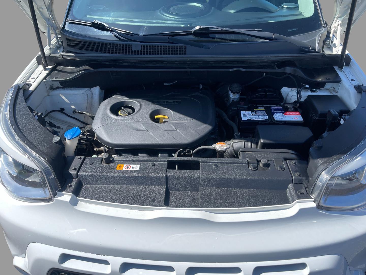 2016 White /Black Kia Soul ! (KNDJX3A52G7) with an 2.0L I4 DOHC 16V engine, 6A transmission, located at 11115 Chardon Rd. , Chardon, OH, 44024, (440) 214-9705, 41.580246, -81.241943 - Photo#15